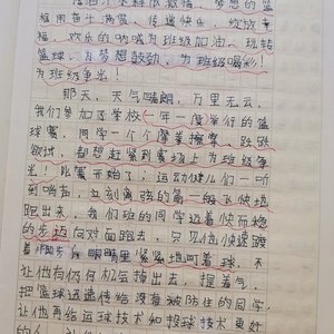 训练篮球的过程50字