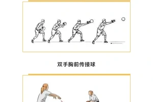 如何系统地教授篮球传球技巧:打造高效训练计划的指南